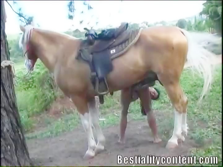 Horse Gisele 3 BestialityContent - Bestialitysextaboo ...