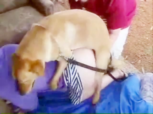 Dog Fuck Indiangirl - Bestiality - Animal Sex - Dog Very Like To Fuck A Girl Outoor ...